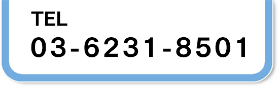 03-6231-8501